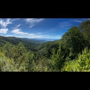 Meet your Posher, Pedro